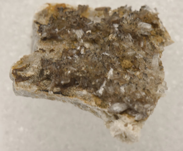 Gypsum Crystals on Matrix Thumbnail Specimen - Colorado