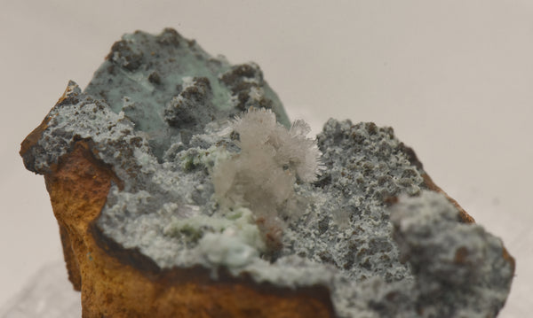 Hemimorphite with Chrysocolla on Limonite Thumbnail Specimen - Nevada