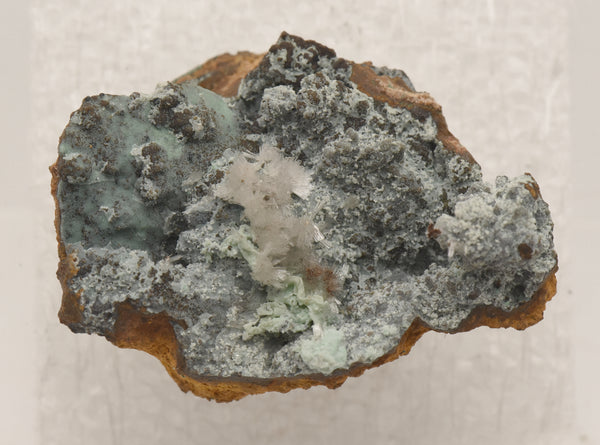 Hemimorphite with Chrysocolla on Limonite Thumbnail Specimen - Nevada