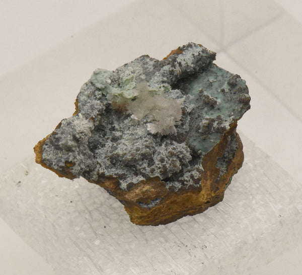 Hemimorphite with Chrysocolla on Limonite Thumbnail Specimen - Nevada