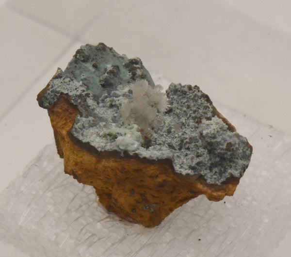 Hemimorphite with Chrysocolla on Limonite Thumbnail Specimen - Nevada