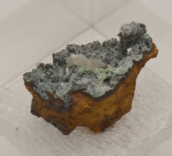 Hemimorphite with Chrysocolla on Limonite Thumbnail Specimen - Nevada