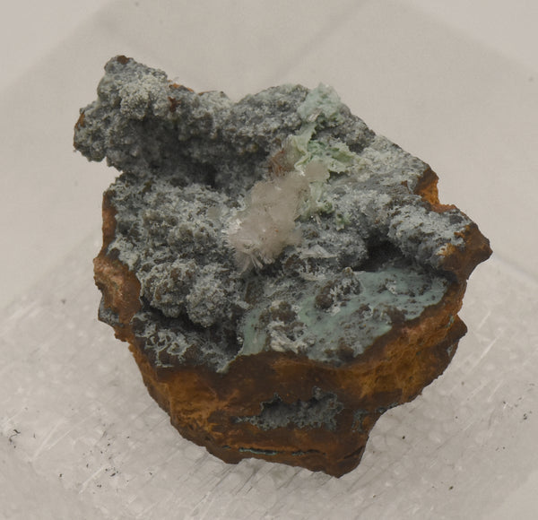 Hemimorphite with Chrysocolla on Limonite Thumbnail Specimen - Nevada