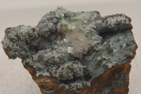 Hemimorphite with Chrysocolla on Limonite Thumbnail Specimen - Nevada