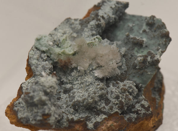 Hemimorphite with Chrysocolla on Limonite Thumbnail Specimen - Nevada