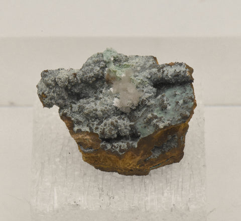 Hemimorphite with Chrysocolla on Limonite Thumbnail Specimen - Nevada