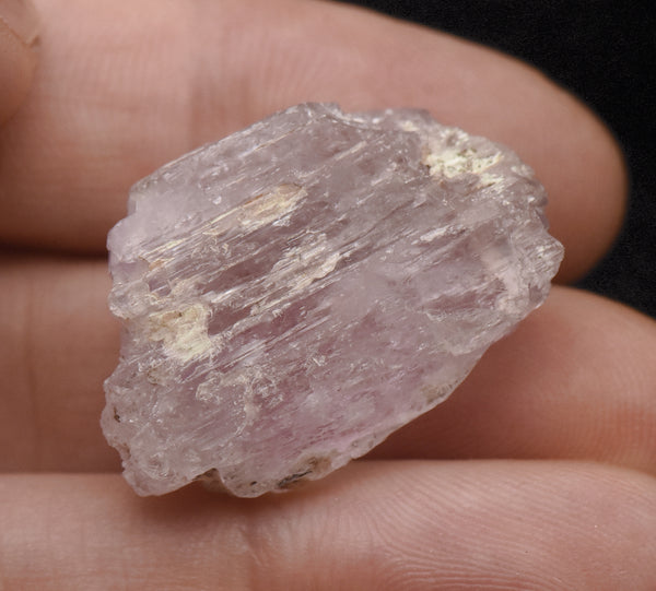 Kunzite Crystal Mineral Specimen