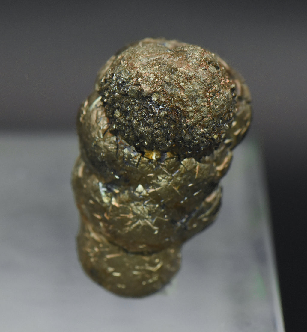 Botryoidal Marcasite Mineral Specimen - Afghanistan