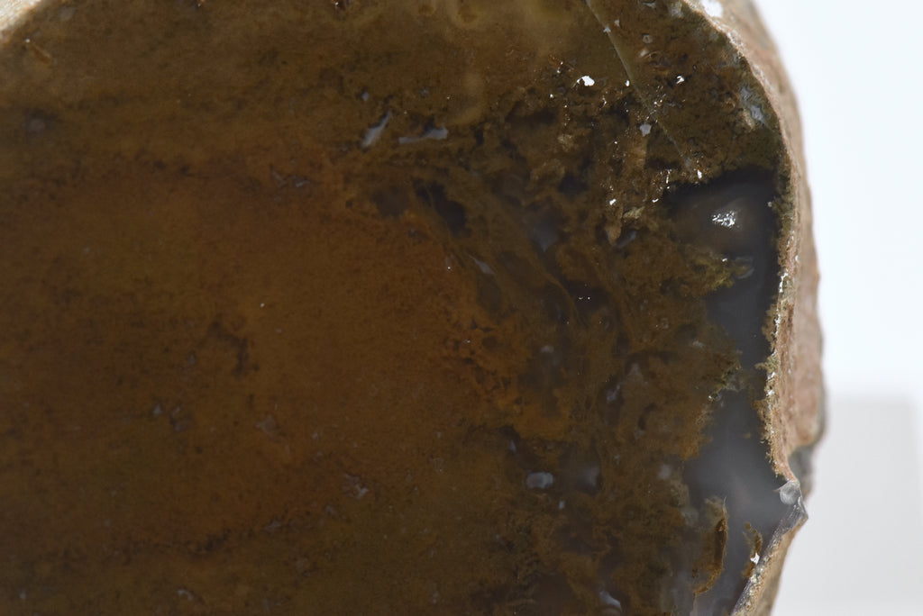 Moss Agate Partially Polished Mineral Specimen