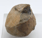 Moss Agate Partially Polished Mineral Specimen