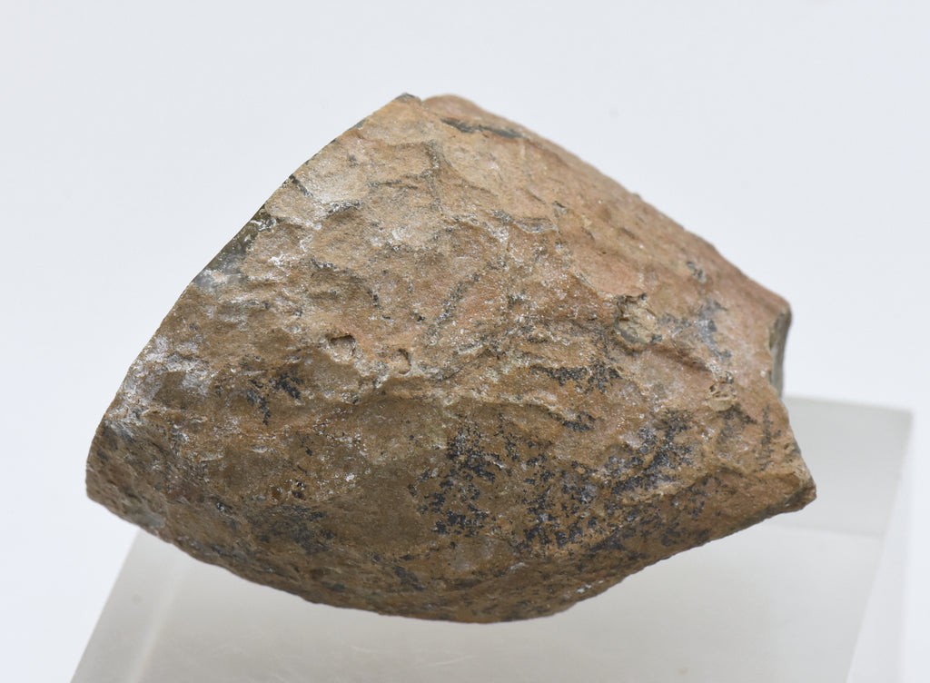 Moss Agate Partially Polished Mineral Specimen