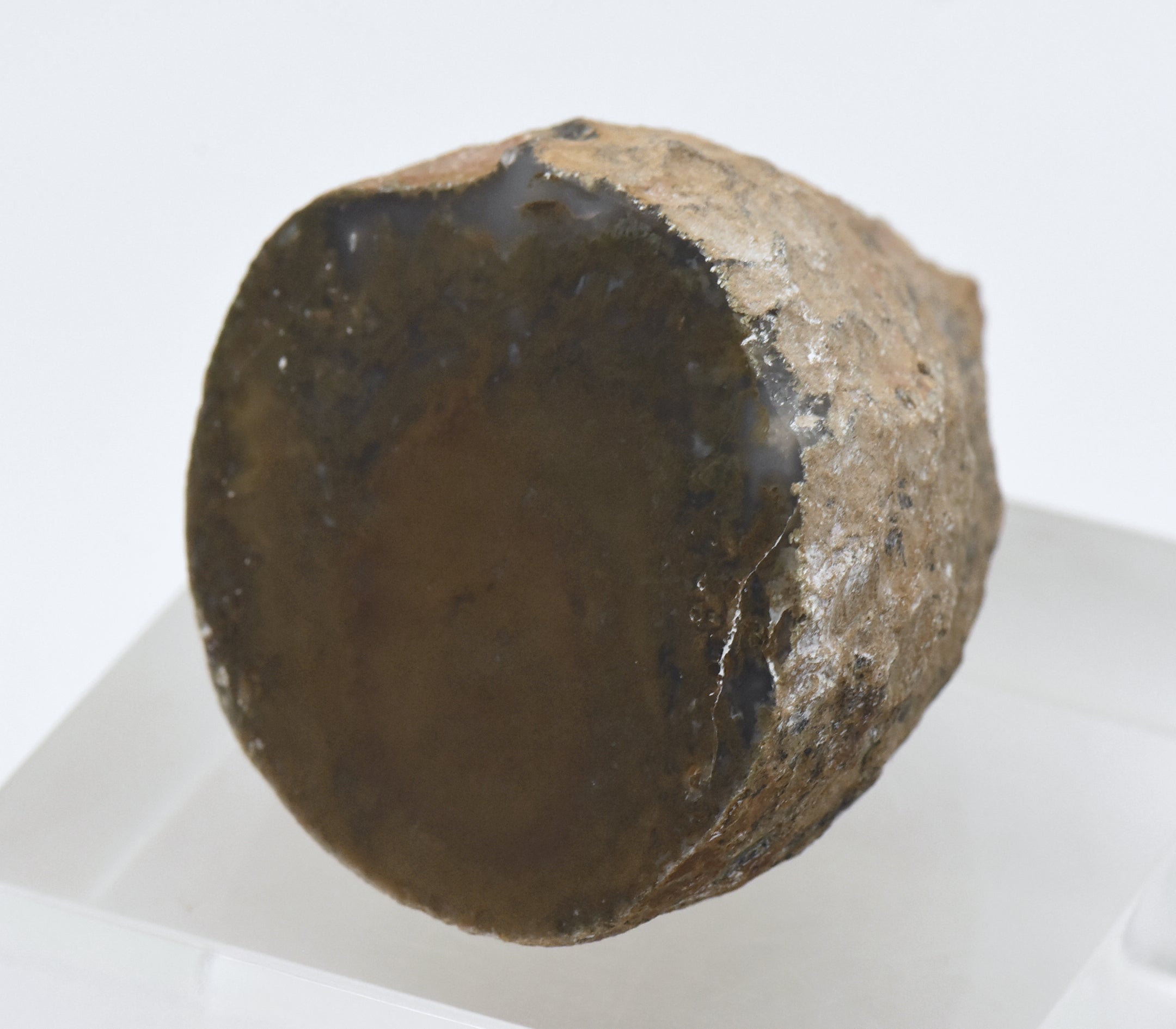 Moss Agate Partially Polished Mineral Specimen