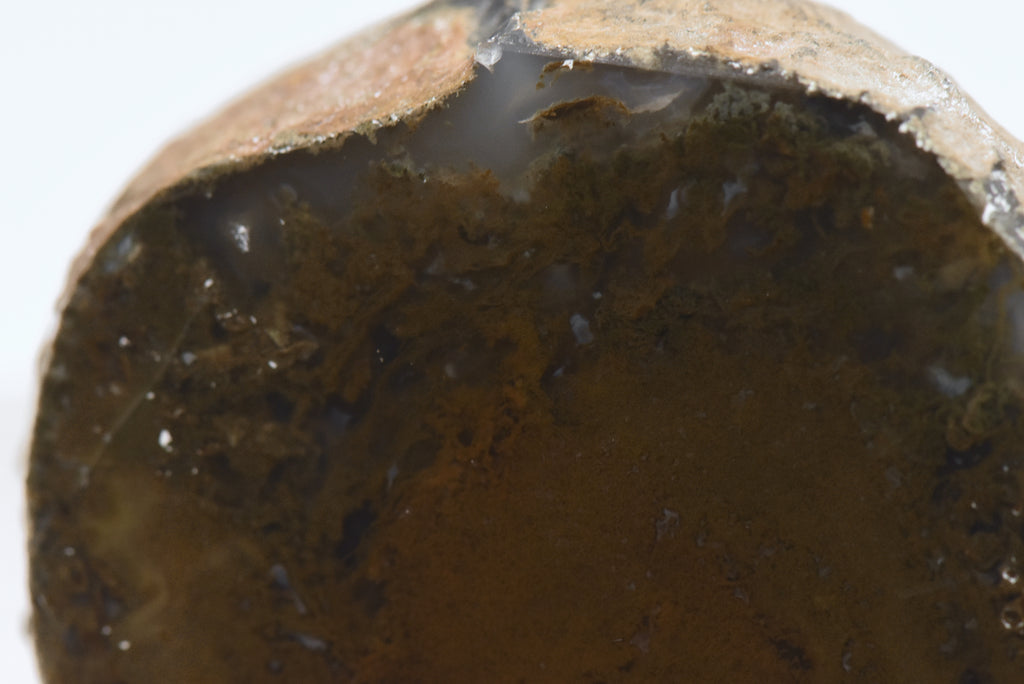 Moss Agate Partially Polished Mineral Specimen