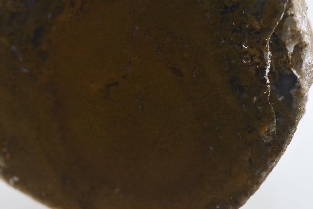 Moss Agate Partially Polished Mineral Specimen