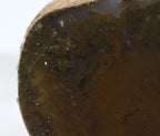 Moss Agate Partially Polished Mineral Specimen