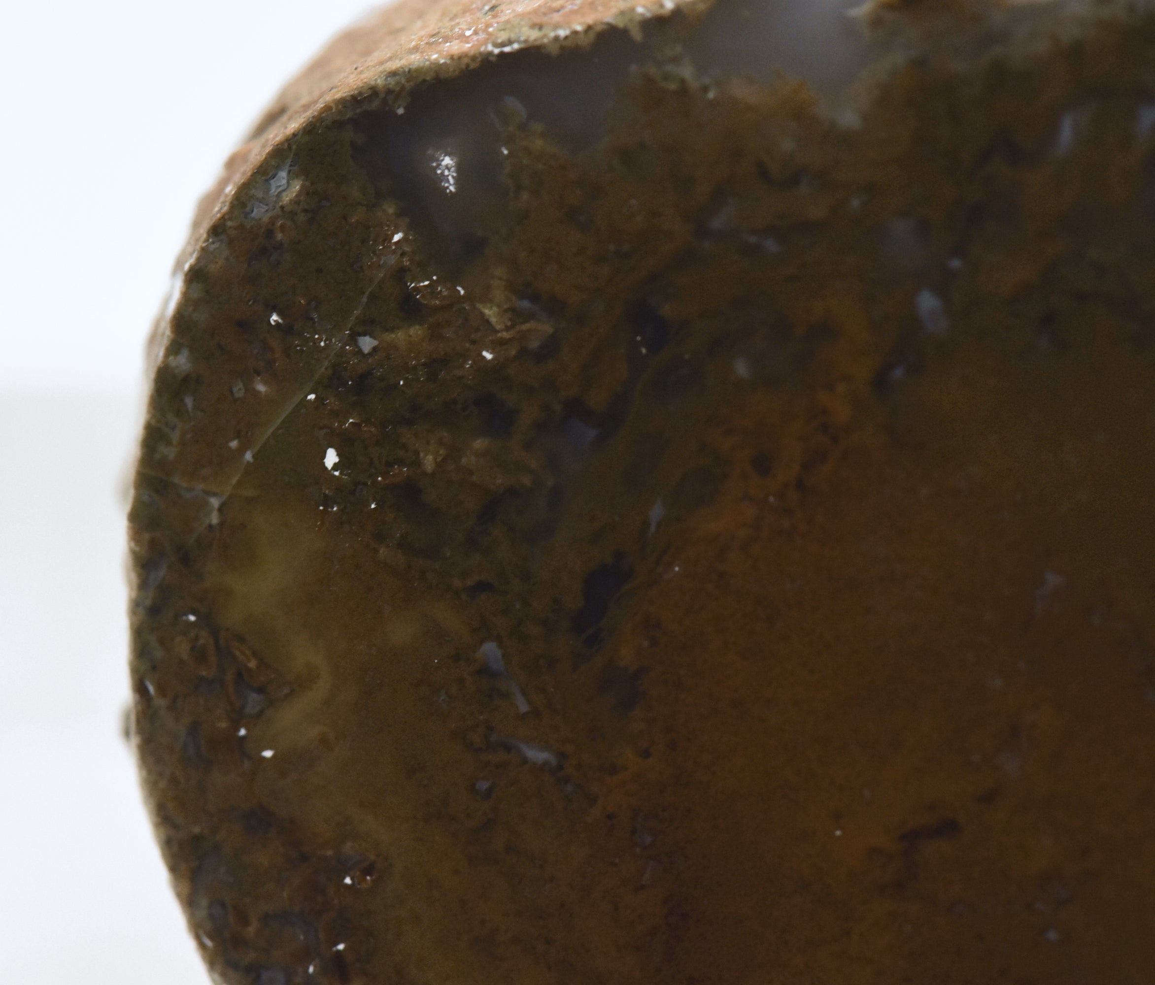 Moss Agate Partially Polished Mineral Specimen