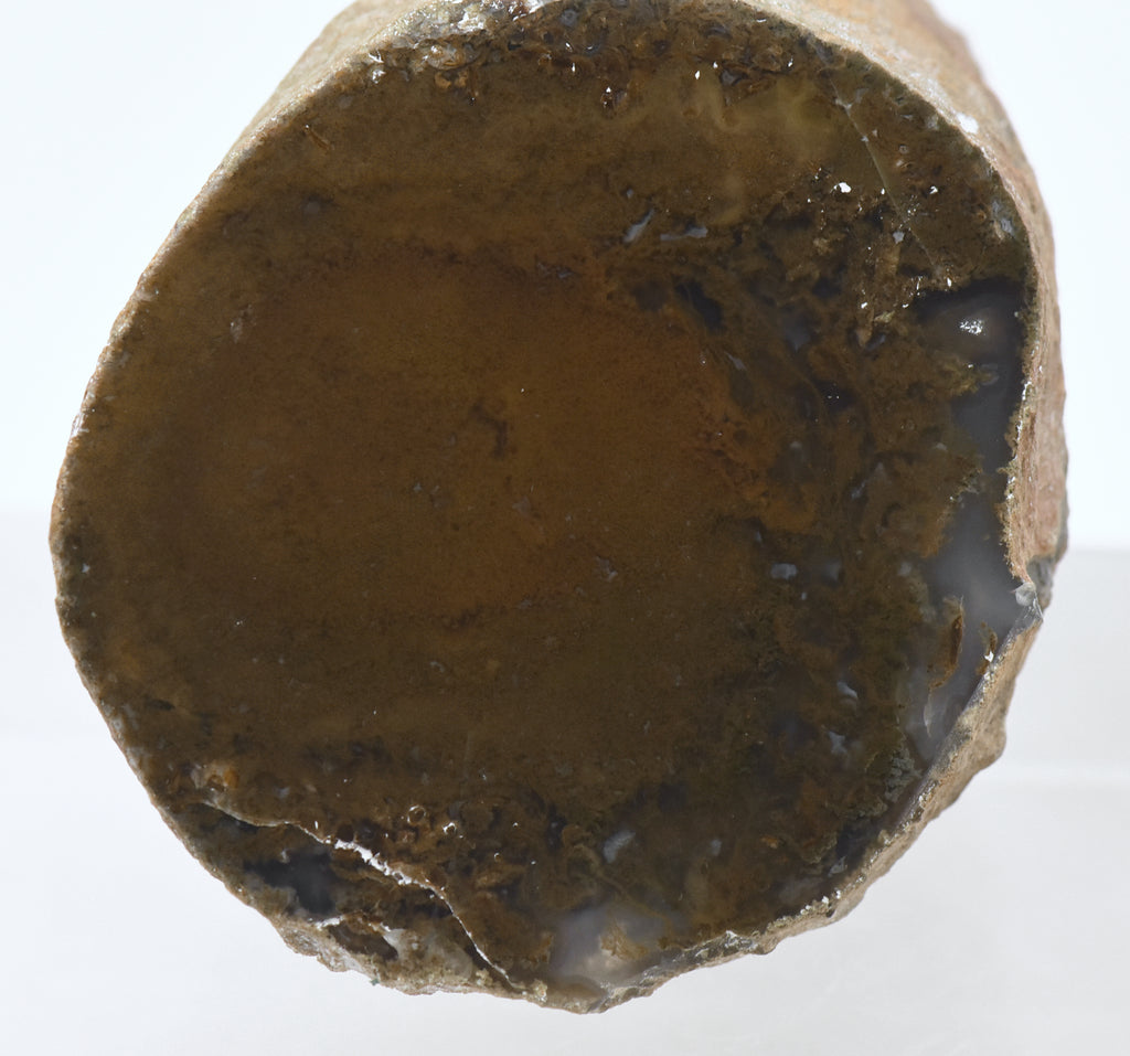 Moss Agate Partially Polished Mineral Specimen