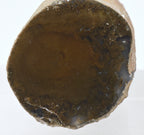 Moss Agate Partially Polished Mineral Specimen