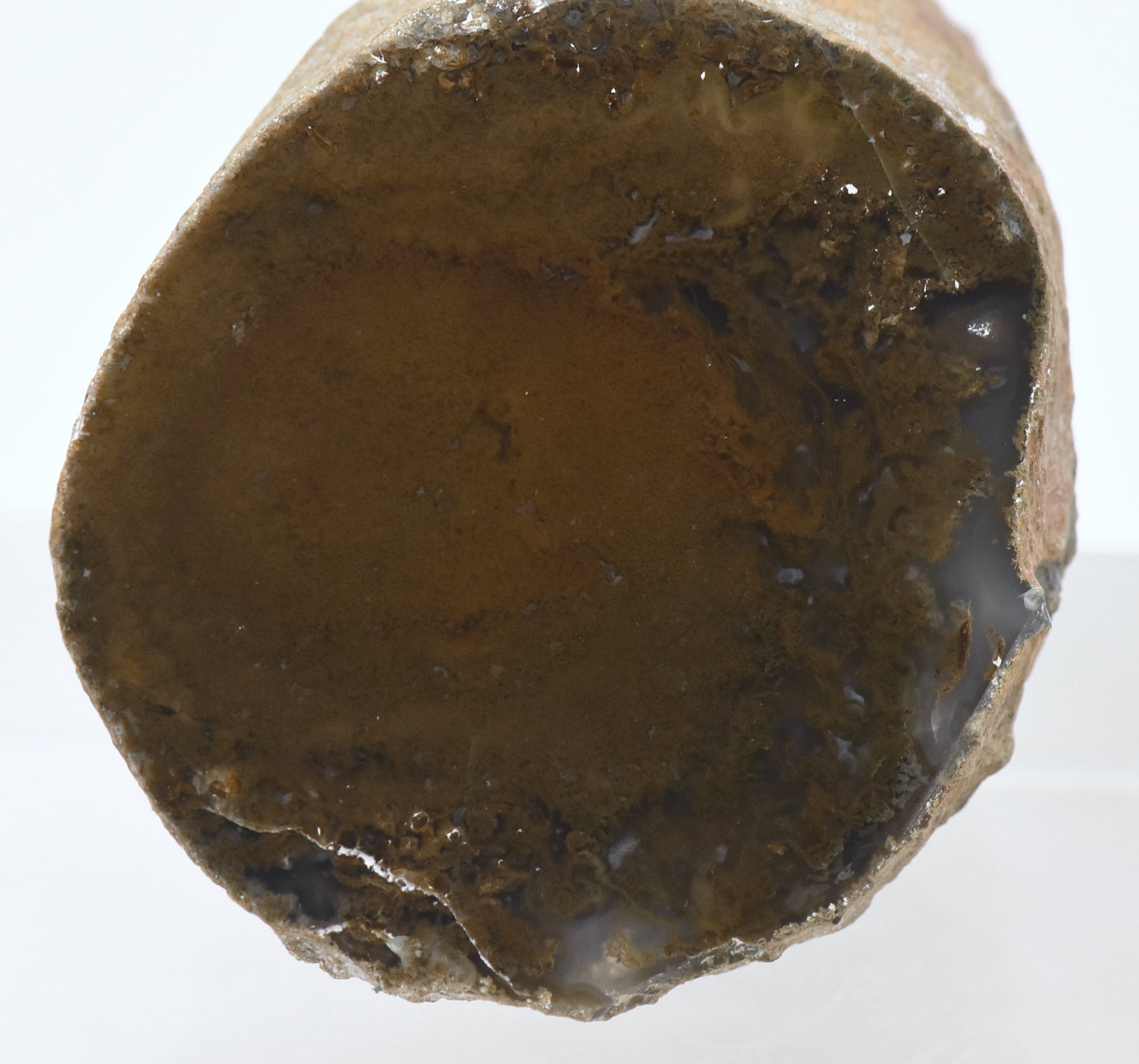 Moss Agate Partially Polished Mineral Specimen