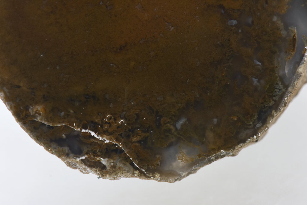 Moss Agate Partially Polished Mineral Specimen