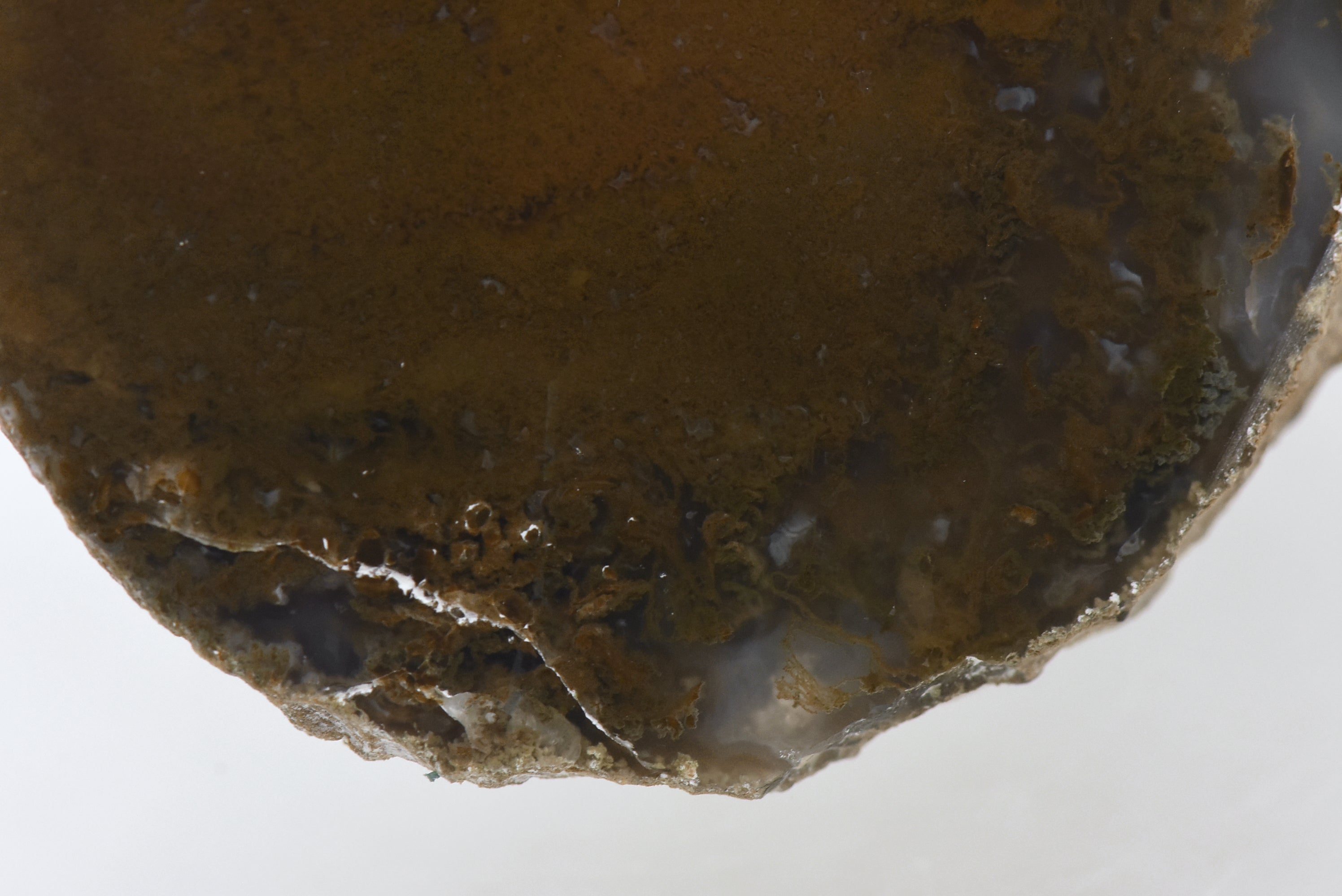 Moss Agate Partially Polished Mineral Specimen