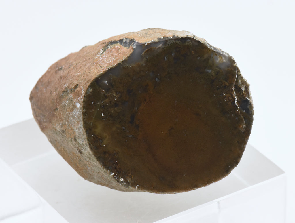 Moss Agate Partially Polished Mineral Specimen