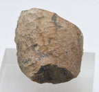 Moss Agate Partially Polished Mineral Specimen