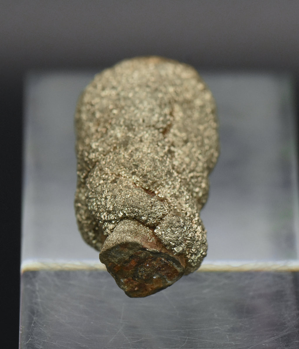 Botryoidal Marcasite Mineral Specimen - Afghanistan