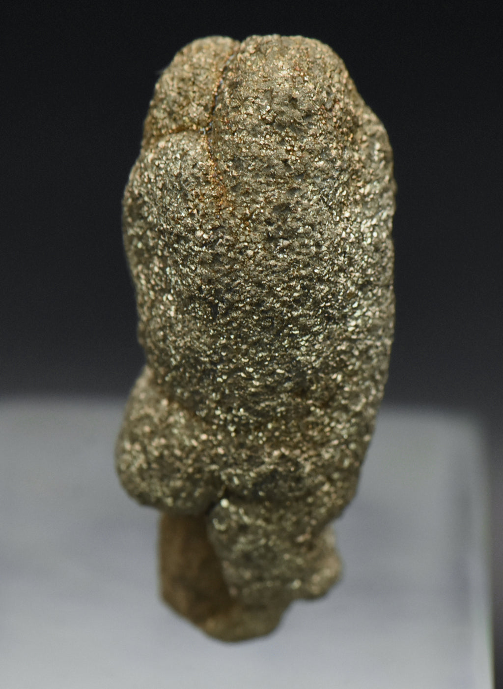 Botryoidal Marcasite Mineral Specimen - Afghanistan