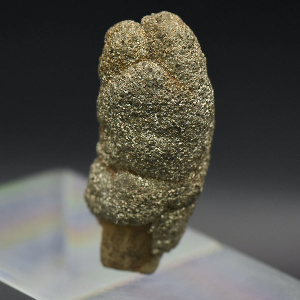 Botryoidal Marcasite Mineral Specimen - Afghanistan