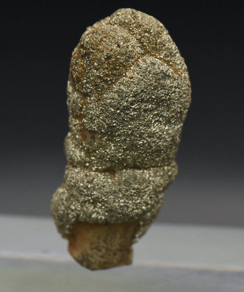 Botryoidal Marcasite Mineral Specimen - Afghanistan