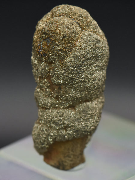 Botryoidal Marcasite Mineral Specimen - Afghanistan