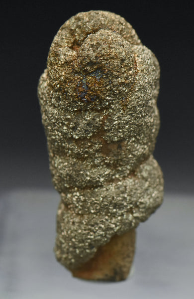 Botryoidal Marcasite Mineral Specimen - Afghanistan