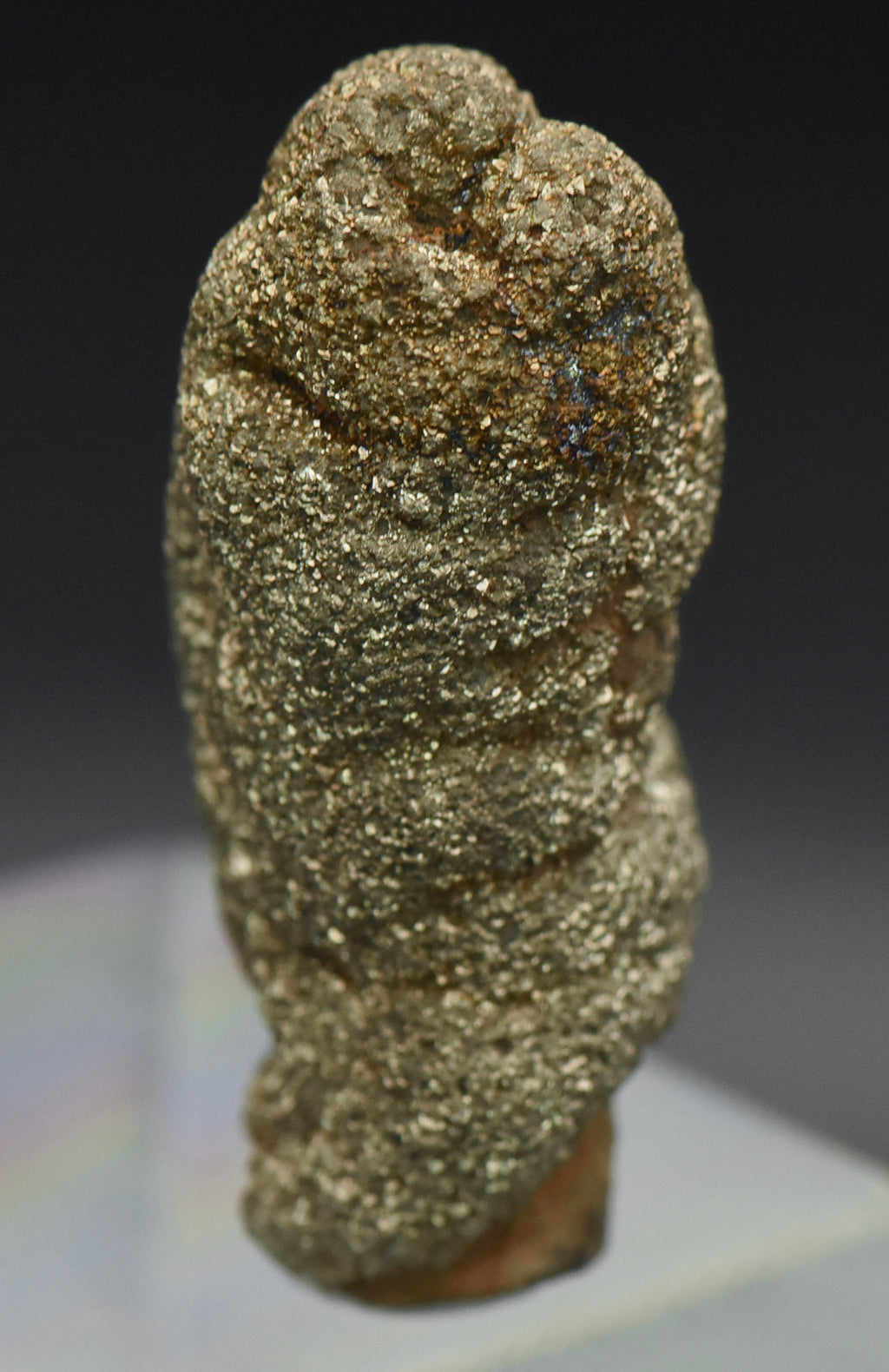 Botryoidal Marcasite Mineral Specimen - Afghanistan