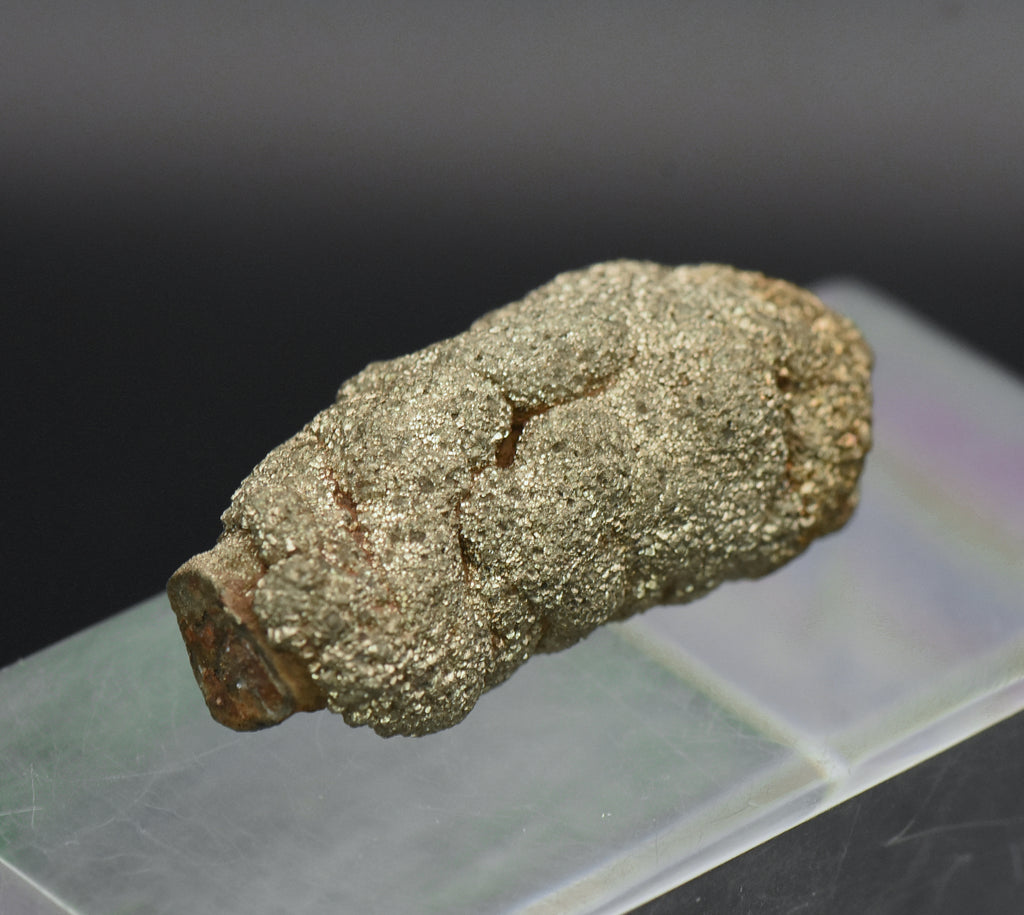 Botryoidal Marcasite Mineral Specimen - Afghanistan