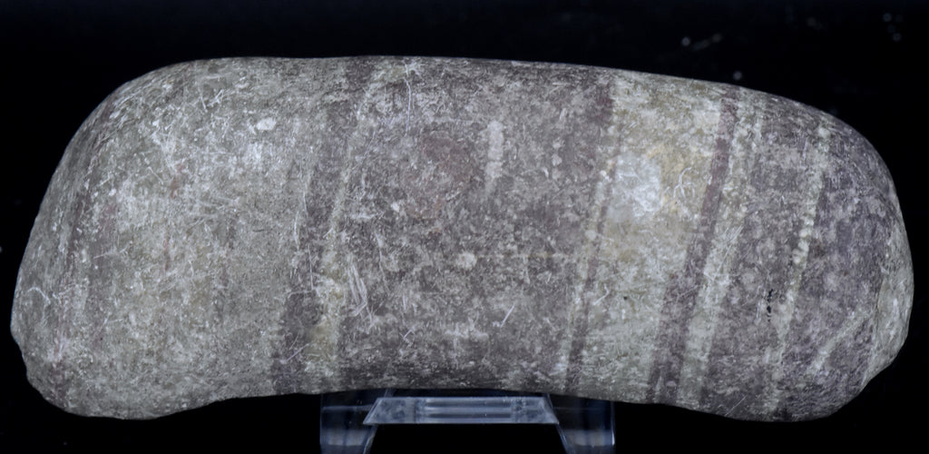 Banded Mudstone Mineral Specimen - 106g