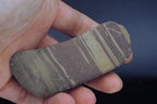 Banded Mudstone Mineral Specimen - 106g