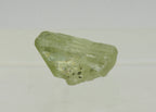 Single Terminated Peridot Crystal Specimen
