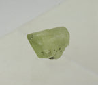 Single Terminated Peridot Crystal Specimen