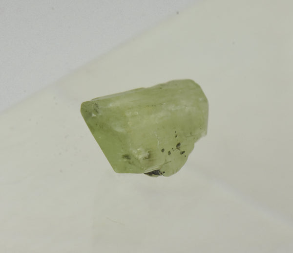 Single Terminated Peridot Crystal Specimen