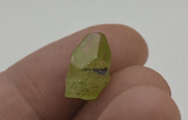 Single Terminated Peridot Crystal Specimen