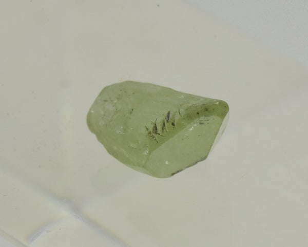 Single Terminated Peridot Crystal Specimen