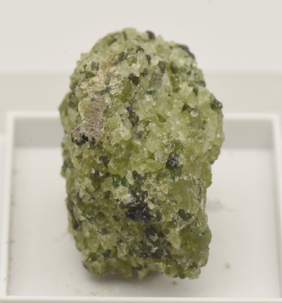 Peridot and Magnetite Thumbnail Mineral Specimen - Canary Islands