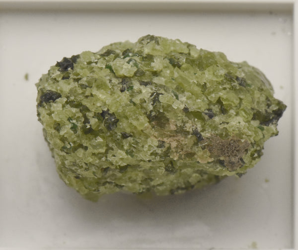 Peridot and Magnetite Thumbnail Mineral Specimen - Canary Islands