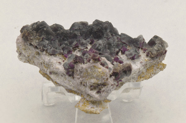 Purple Fluorite Crystal Cluster on Matrix - New Mexico