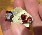 Garnet Crystal Cluster with Quartz on Matrix