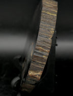 Petrified Wood Cross Cut Slab - 331g