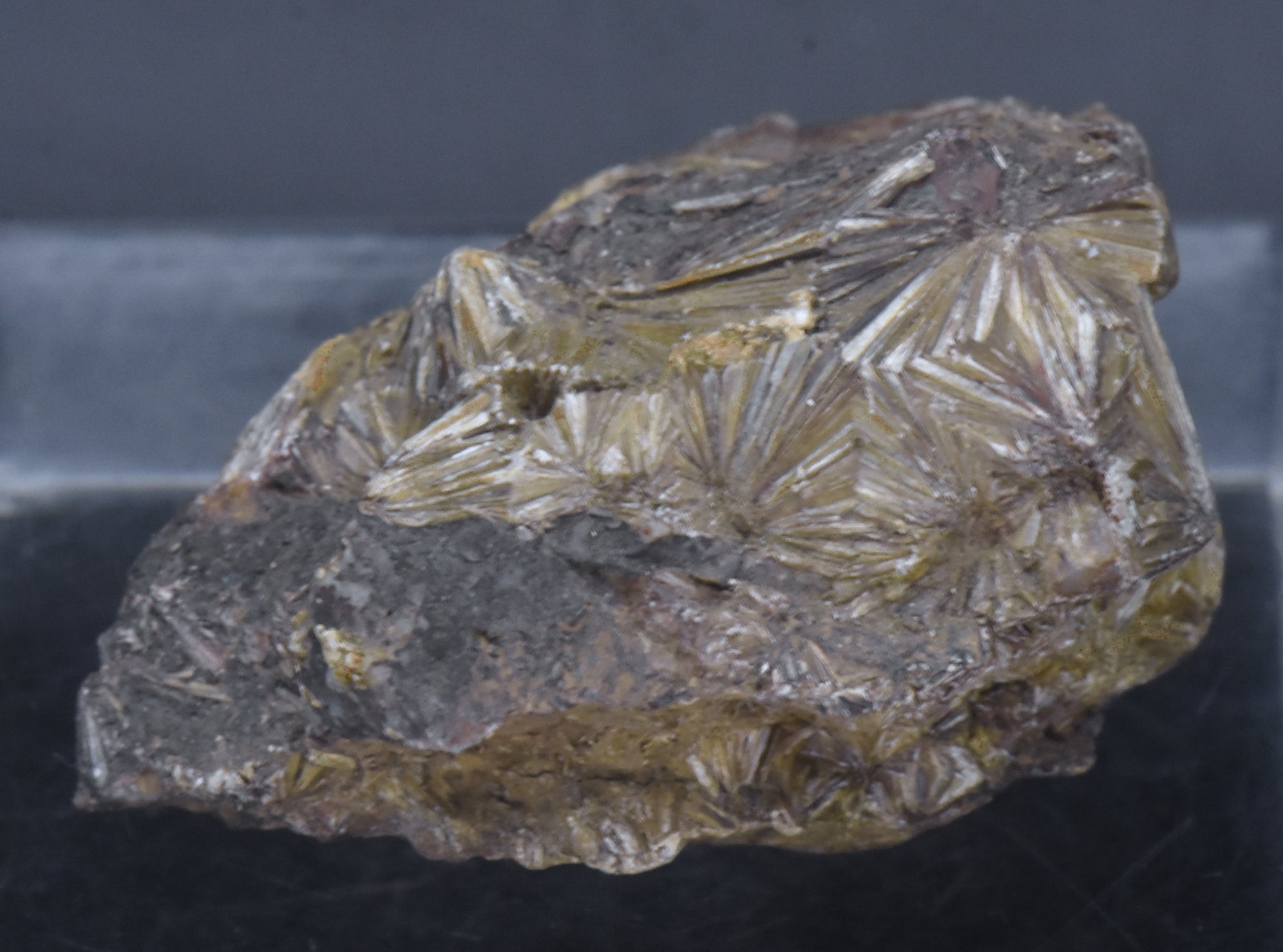 Pyrophyllite Mineral Specimen - North Carolina