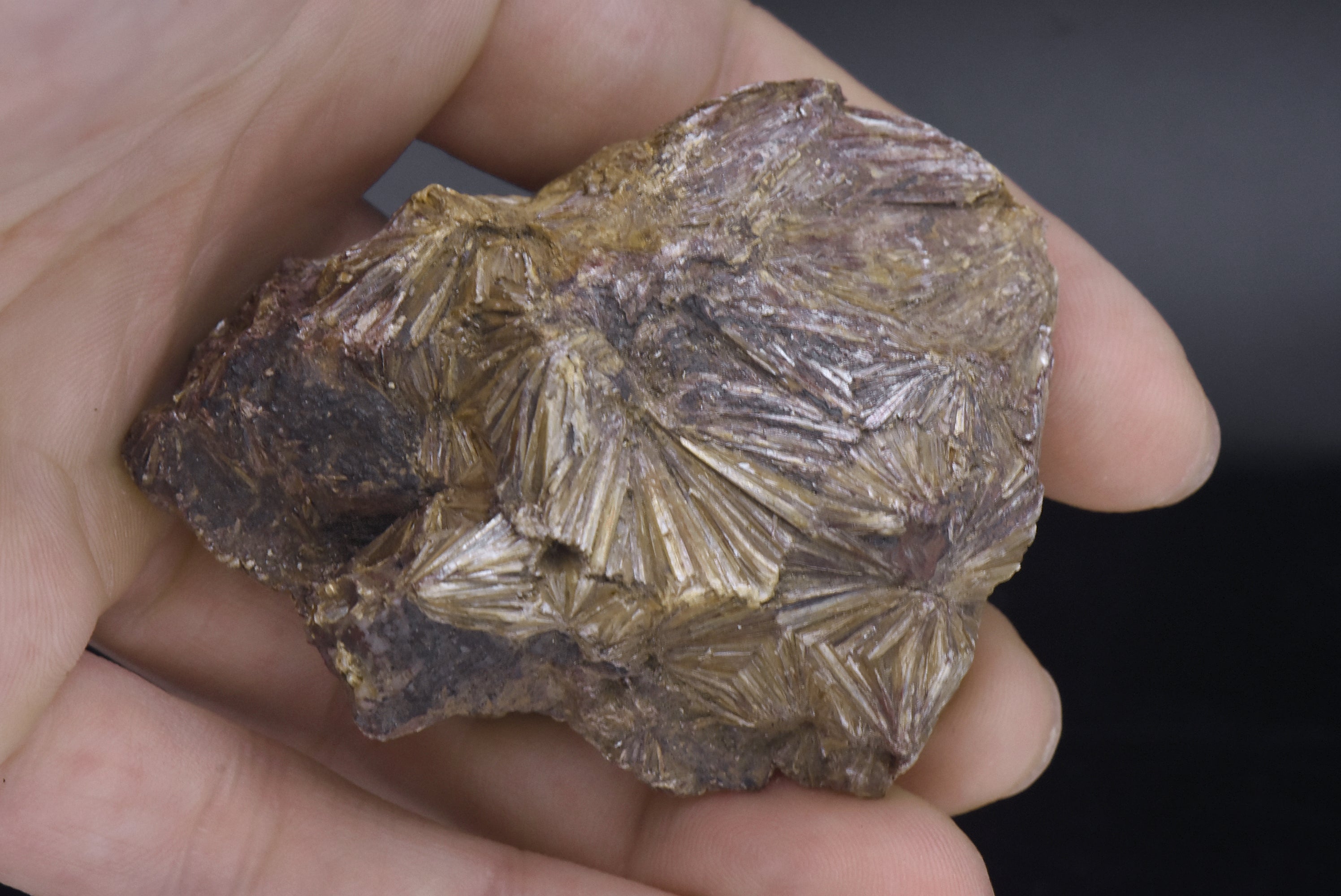 Pyrophyllite Mineral Specimen - North Carolina