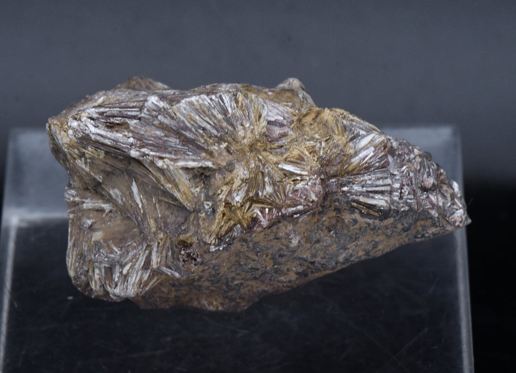 Pyrophyllite Mineral Specimen - North Carolina